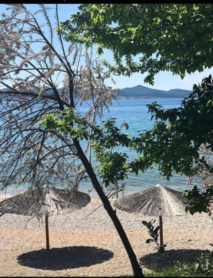 Luxury Majpruz Suites I Zadar Extérieur photo